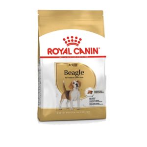 BHN Dog Beagle Adult