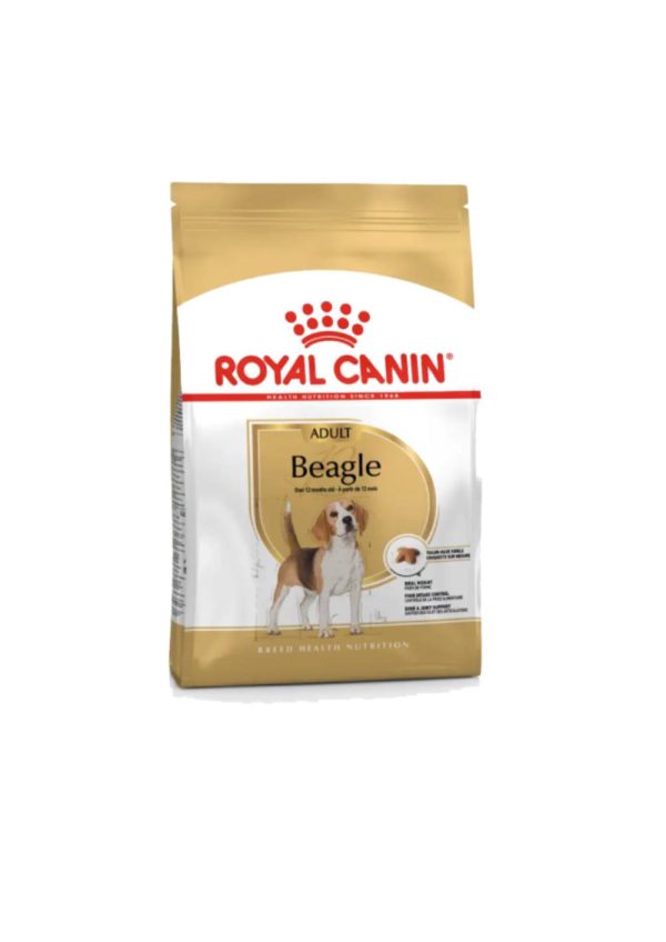 BHN Dog Beagle Adult