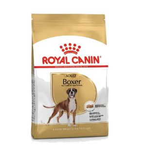 BHN Dog Boxer Adult