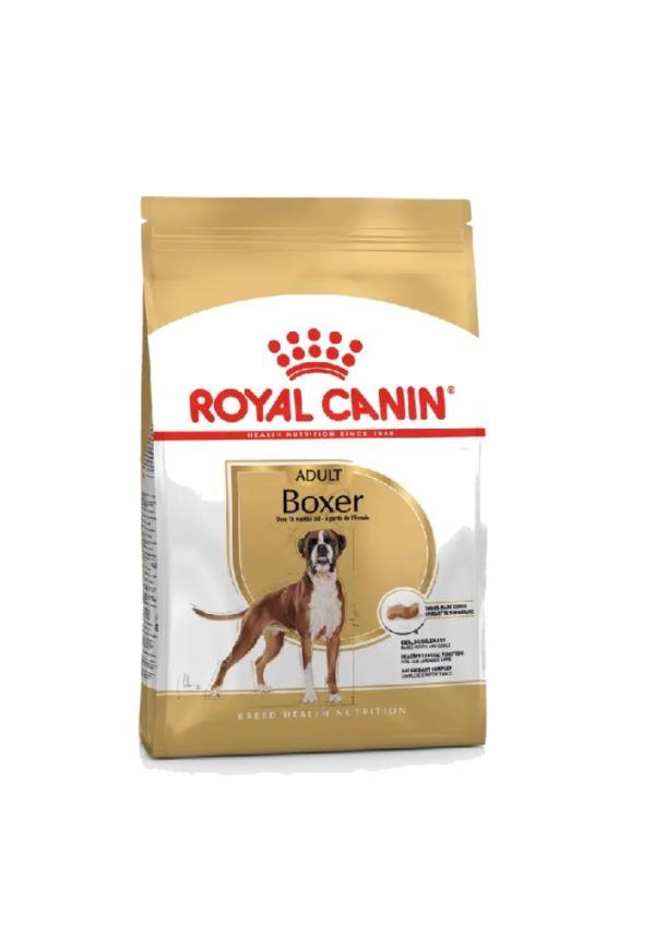 BHN Dog Boxer Adult