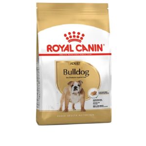 BHN Dog Bulldog Adult