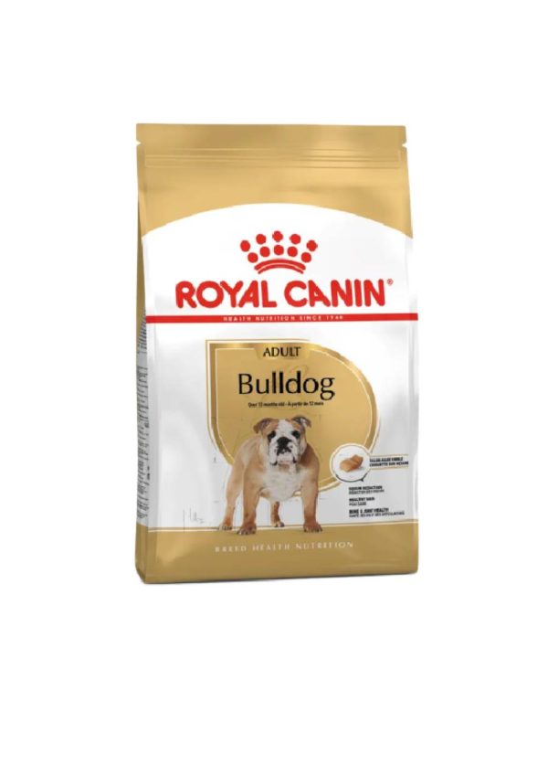 BHN Dog Bulldog Adult