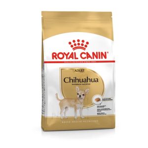 BHN Dog Chihuahua Adult