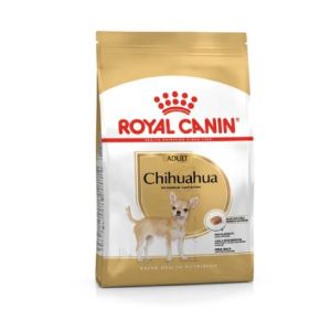 BHN Dog Chihuahua Adult