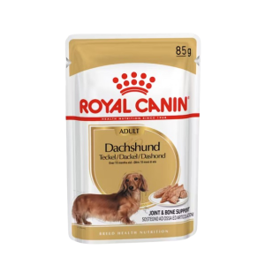 BHN Dog Dachshund Loaf