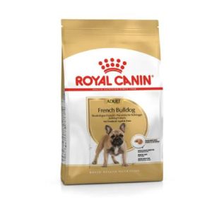 BHN Dog French Bulldog Adult