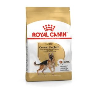 BHN Dog German Shepherd Adult
