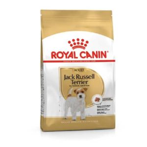 BHN Dog Jack Russel Terrier Adult