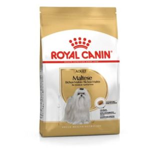 BHN Dog Maltese Adult