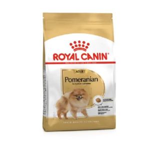 BHN Dog Pomeranian Adult