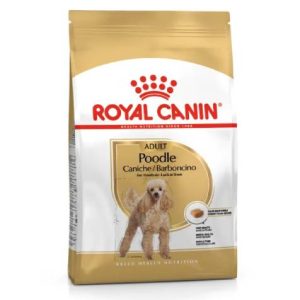 BHN Dog Poodle Adult
