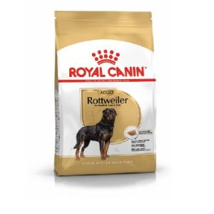 BHN Dog Rottweiler Adult