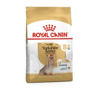 BHN Dog Yorkshire Terrier Adult 8+