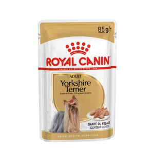 BHN Dog Yorkshire Terrier Loaf