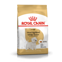 BHN Dog West Highland White Terrier Adult