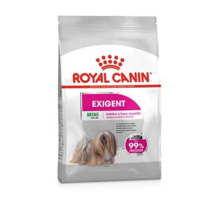 CCN Dog Exigent Mini