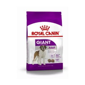 SHN Dog Giant Adult
