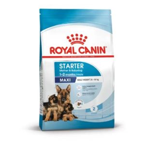 SHN Dog Maxi Starter Mother&Babydog