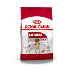 SHN Dog Medium Adult