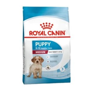 SHN Dog Medium Puppy