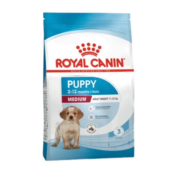 SHN Dog Medium Puppy