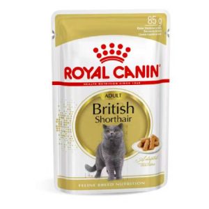 FBN Cat British Short Gravy