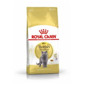 FBN Cat British Shorthair