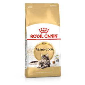 FBN Cat Maine Coon