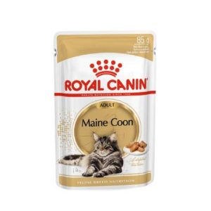 FBN Cat Maine Coon Gravy