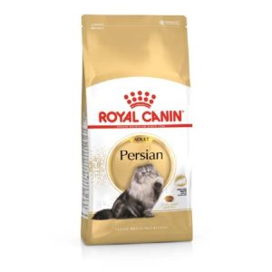 FBN Cat Persian