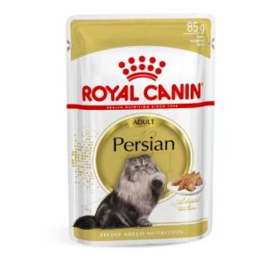 FBN Cat Persian Loaf