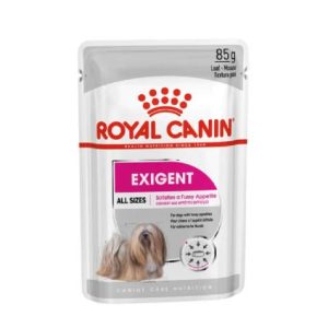 CCN Dog Exigent Loaf