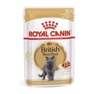 FBN Cat British Short Gravy