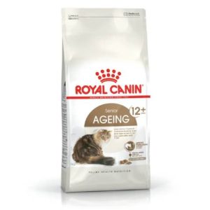 FHN Cat Ageing 12+
