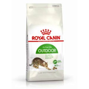 FHN Cat Outdoor