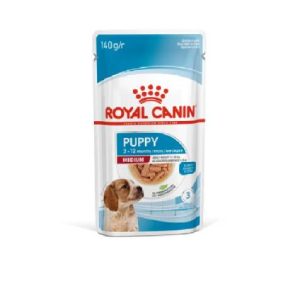 SHN  Dog Medium Puppy Gravy