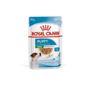 SHN Dog Mini Puppy Gravy